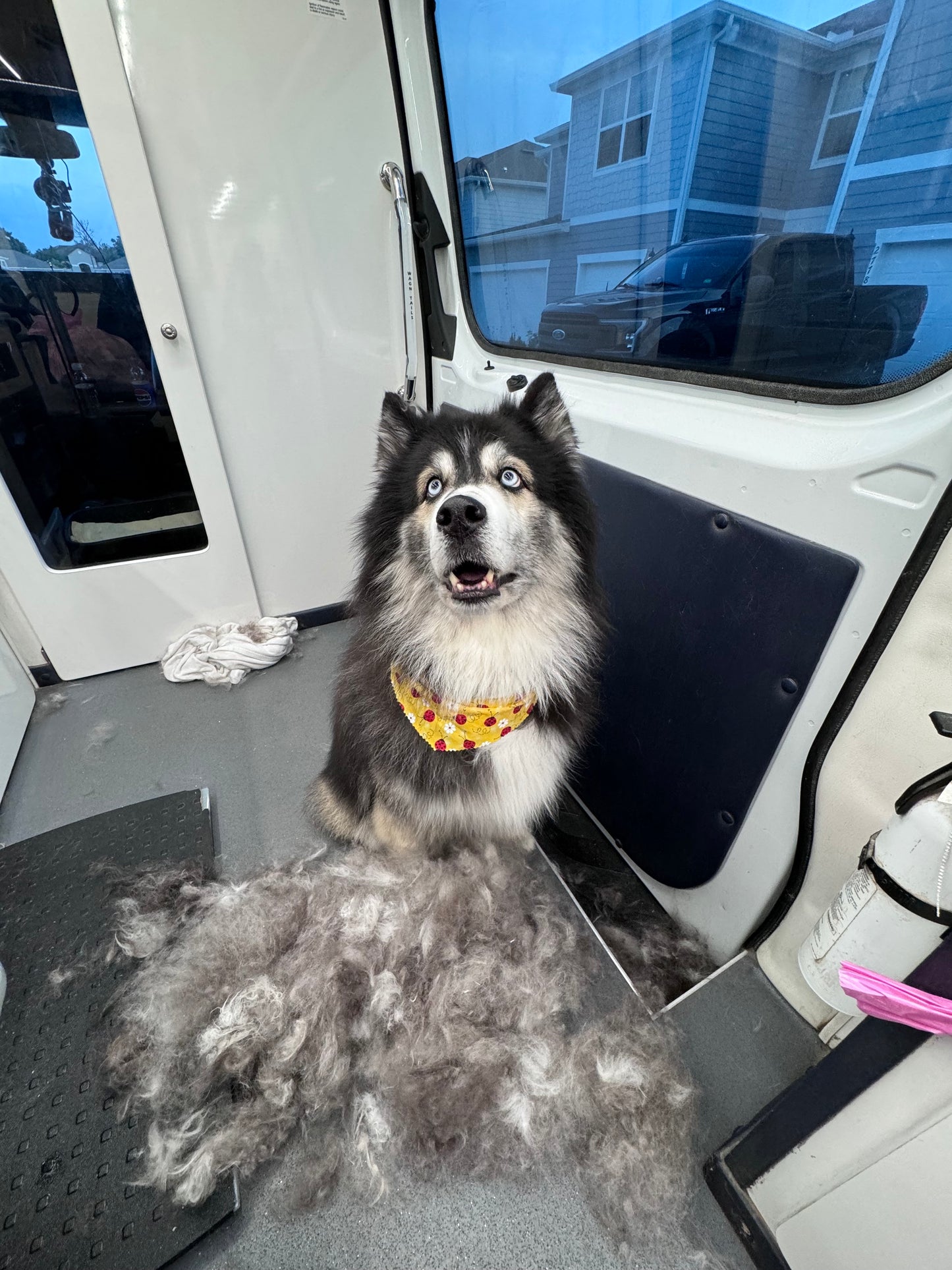 Shedding Rake